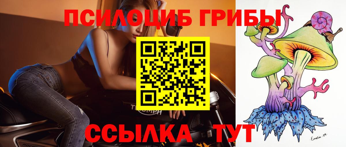 Галлюциногенные грибы мухоморы  Вход с VPN  Шали 